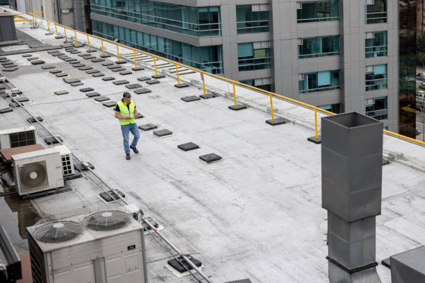 Best Roof Replacement  in Fremont, IN